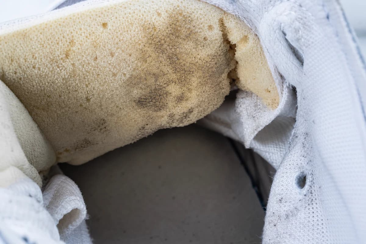 Close-up of sneaker lining and foam tongue needing sneaker odor removal Dubai treatment